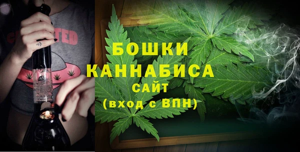 гидра Коряжма