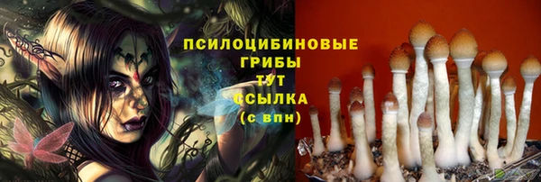 2c-b Козловка