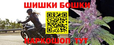 стаф Можга