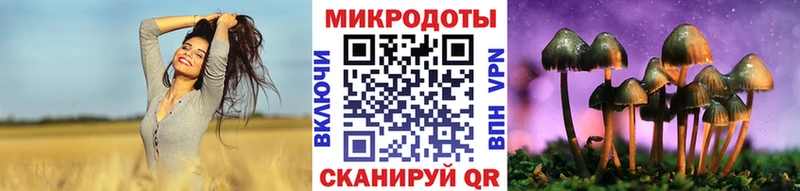 Псилоцибиновые грибы GOLDEN TEACHER  Новочебоксарск 