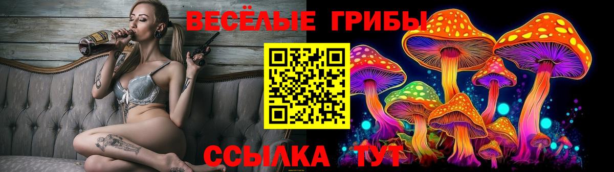 Галлюциногенные грибы MAGIC MUSHROOMS Новочебоксарск